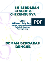 DHF Chikungunya