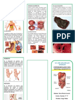 Triptico Enfermedades Digestivas