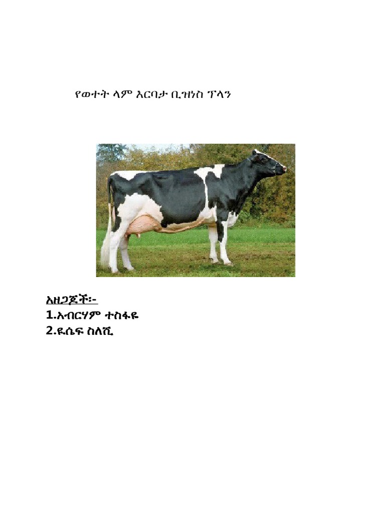 BUSINESS PLAN FORMAT IN AMHARIC PDF FREE DOWNLOAD visual data 6