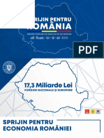Prezentare Sprijin Pentru Romania
