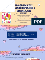 Panorama Del Sector Envaces y Embalajes