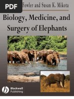 Download Elephant_biologyMedicine and Surgery by mada_superhero SN56925823 doc pdf