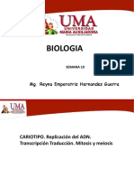 FYB BIOLOGIA. TEORIA SEMANA 10  6 diapos por hoja