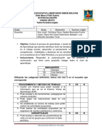 Auto Evaluación EVA