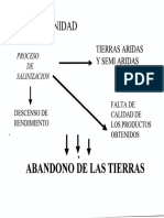 Efectos de la salinidad en cultivos hortícolas y sus soluciones