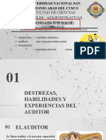 Habilidades y Destrezas Del Auditor