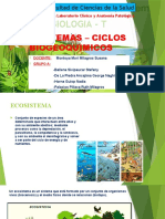 Ecosistemas - Ciclos Biogeoquimicos Expo - Biologia Teoria...