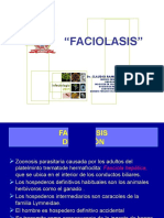 Fascio Las Is