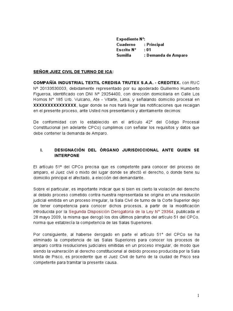 Demanda de Amparo por Debido Proceso | PDF | Debido al proceso | Caso ...