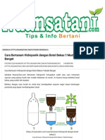 Cara Bertanam Hidroponik Dengan Botol Bekas !! Mudah Banget