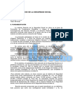 35.B - Derecho de La Seguridad Social, Carnota