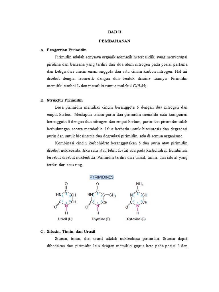 Qattiq dumbali trannies