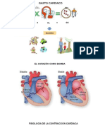 FISIOLOGIA