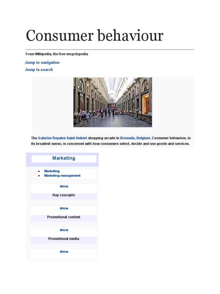 Consumer Search PDF