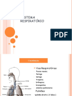 Sistema respiratório