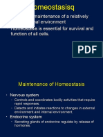 Homeostasis - Maintaining Internal Stability
