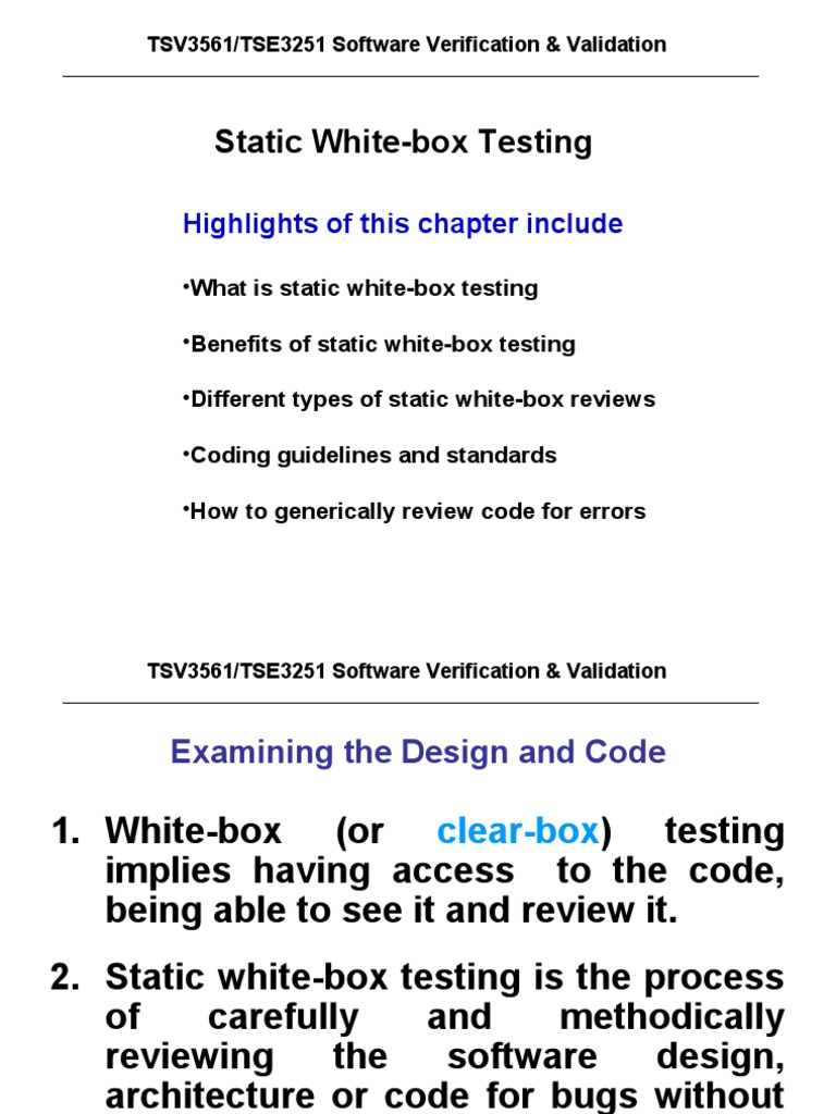 Lecture 5 - Static White Box Testing | PDF | Business