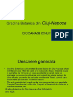 Gradina Botanica Din Cluj-Napoca