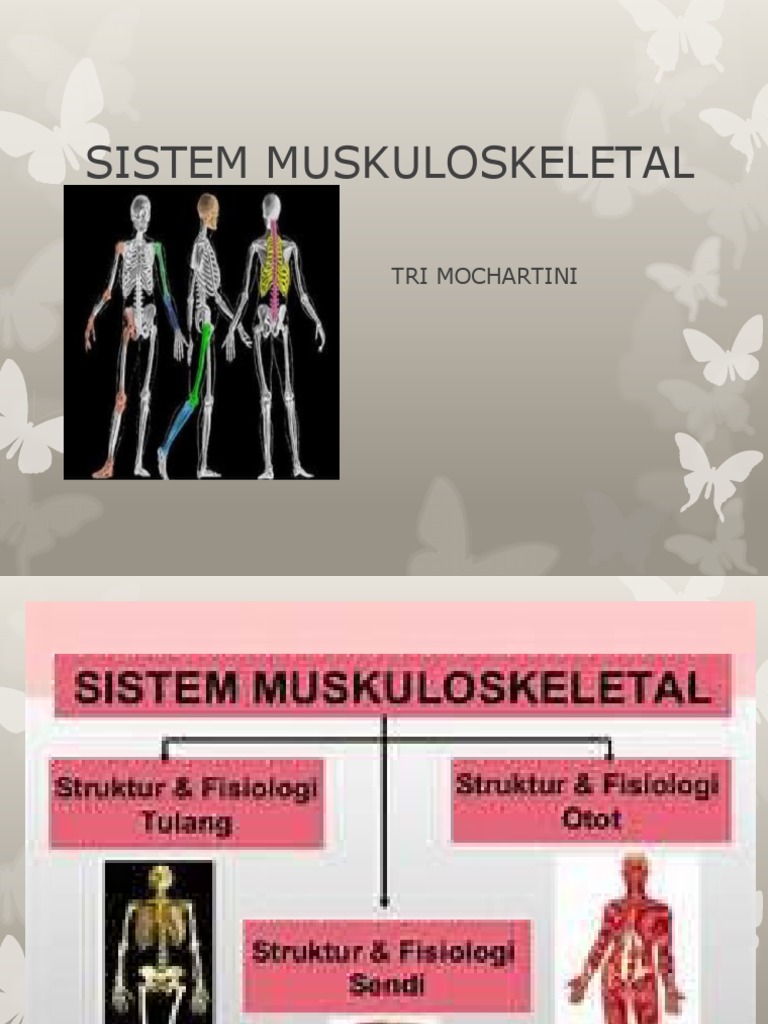 Sistem Muskuloskeletal