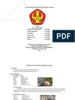 Laporan Hasil Identifikasi Jenis Tumbuhan Jamur