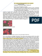 Influenza Dei Campi Elettromagnetici Sul Sangue