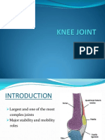 KNEE JOINT Assign New