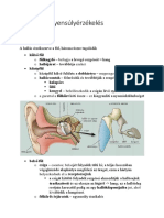 Hallás És Egyensúlyérzékelés