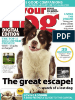Your Dog - May 2020