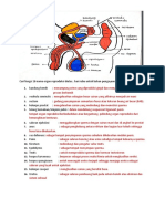 Cari Fungsi 16 Nama Organ Reproduksi Diatas