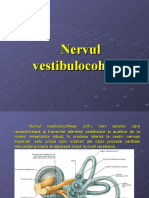 Nervul Vestibulo-Cohlear