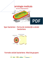 4. Bacte Generalitati. Stafilococ. Streptococ. Pneumococ