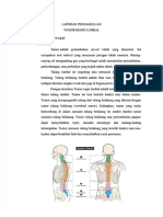 PDF LP Tumor R Lumbal DD