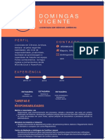 Currículum Vitae - Domingas Vicente