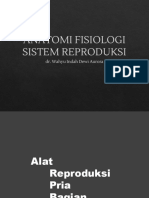 Sistem Reproduksi