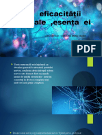 Teoria Eficacității Neuronale, Esența Ei