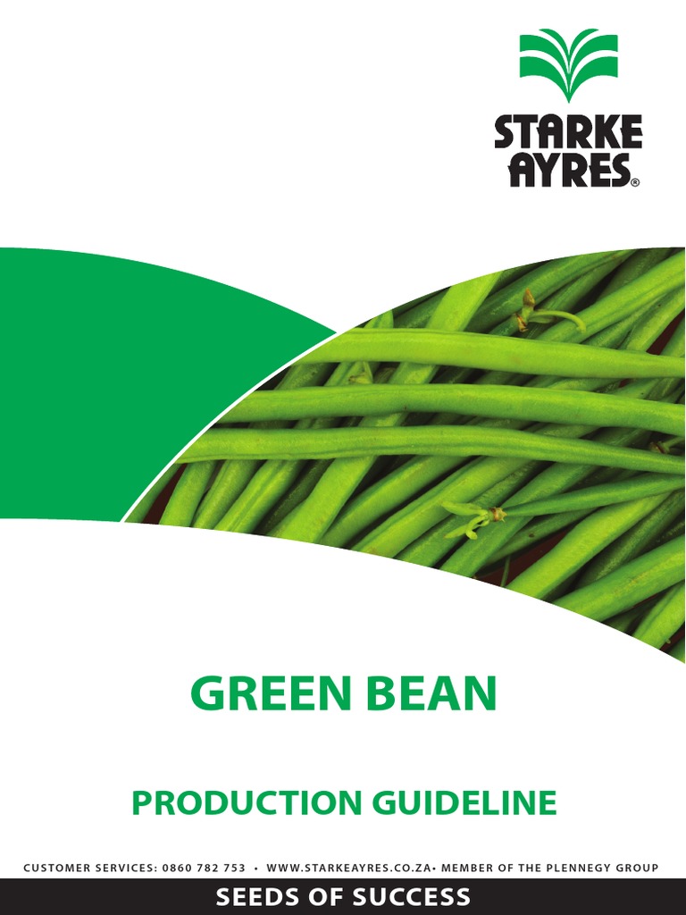 Green Bean Production Guidelines | PDF | Phaseolus Vulgaris | Fertilizer