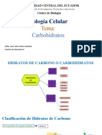 Presentación Carbohidratos V1-BC