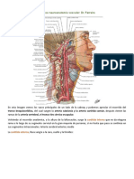 1. Repaso neuroanatomía vascular