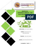 Rse Internacional