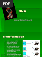 Deoxyribonucleic Acid