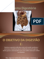 Sistema Digestório