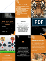 Sumatran Tiger Brochure Diya