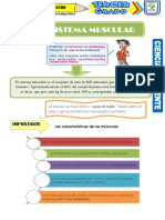 El Sistema Muscular para Tercer Grado de PrimariaIEVF