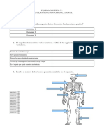 Pruebacontrol Huesos, Músculosyarticulaciones5º