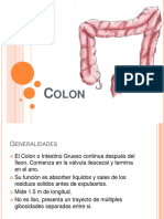 COLON CLASES