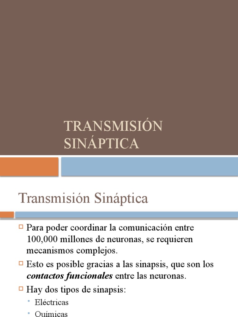 Transmisión Sináptica | PDF