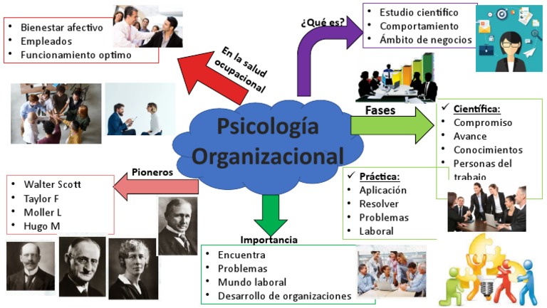 Psicologia Organizacional | PDF