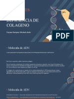 Mutaciones Del D: Deficiencia de Colageno
