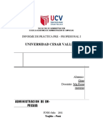 informe modelo practicas