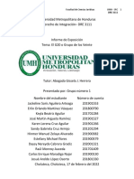 Informe Exposición Derecho de Integración - Grupo 1 G20